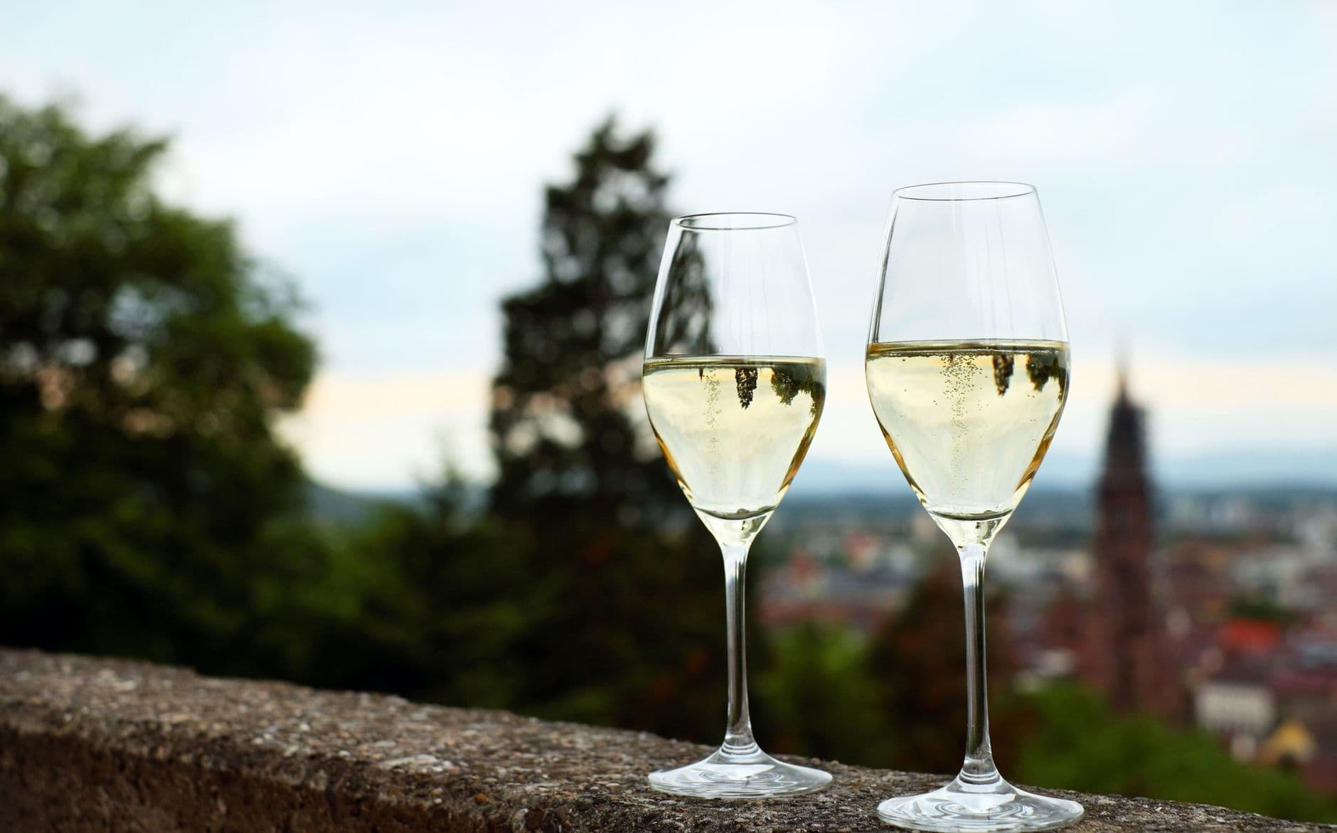 Weinschorle (German Wine Spritzer)