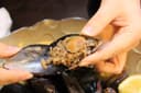 Midye Dolma (Stuffed Mussels)
